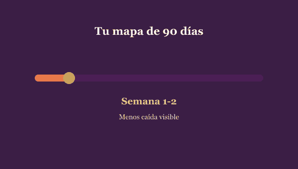 El proceso de 90 días